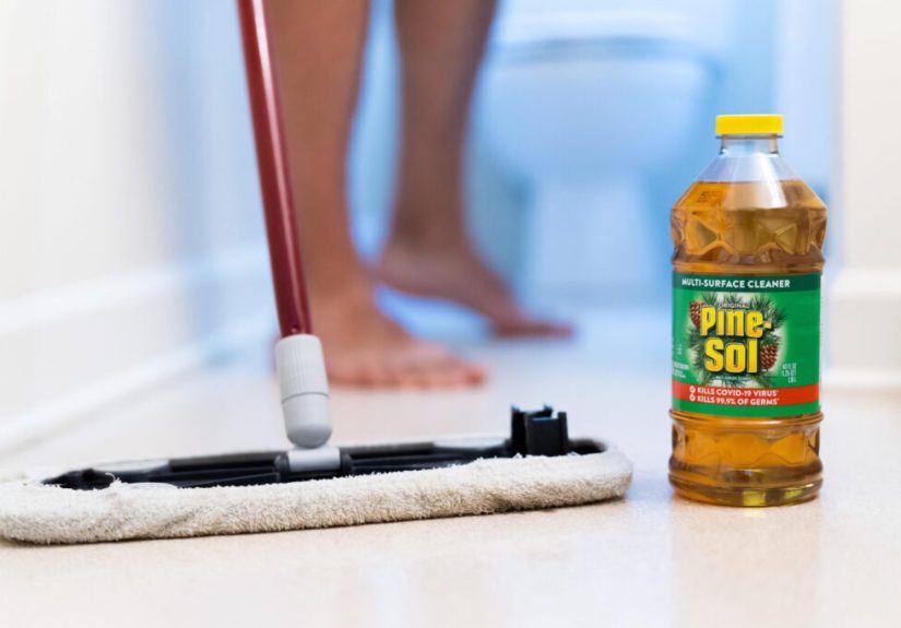 5 Best Floor Cleaners (2025 Review)