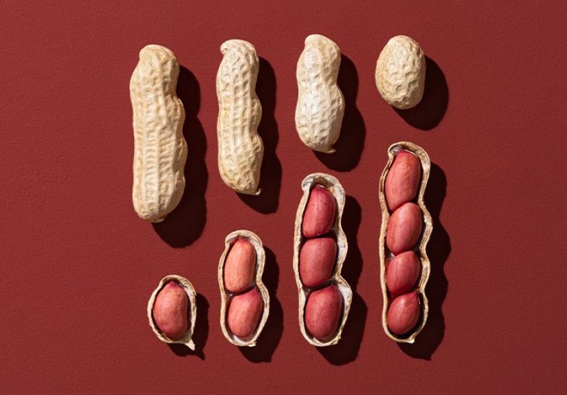 6 Healthiest Nuts: Protein and Other Benefits