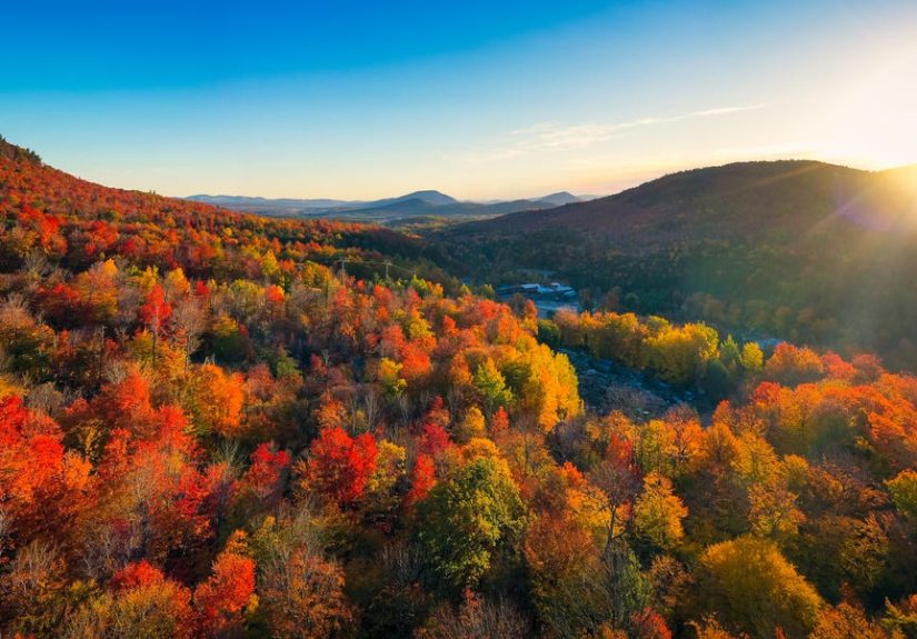 60 Best Fall Activities for Kids, Couples, Friends, or Solo