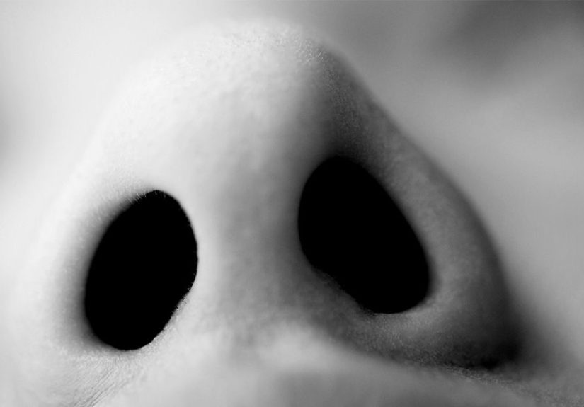 Deviated septum and headaches: Is there a connection?