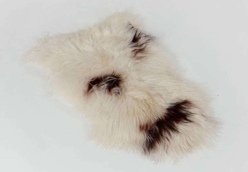 Extra Large Natural Spotted Icelandic Sheepskin