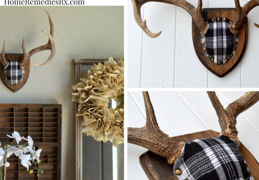 Fabric Covered Antler Mount