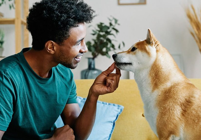 Heartworms in Humans: Do You Get It from a Dog and How Can You Manage?