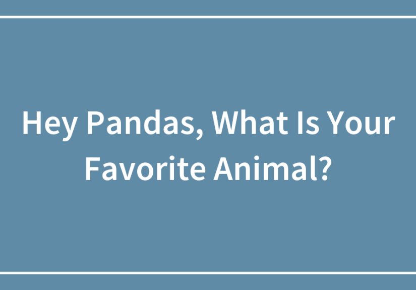 Hey Pandas, What Is Your Favorite Animal?