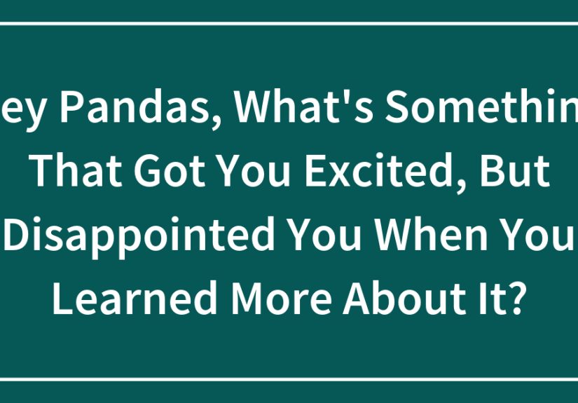 Hey Pandas, What’s Something That Got You Excited, But Disappointed You When You Learned More About It?