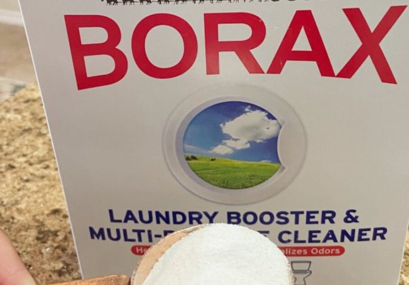 Homemade Dishwasher Cleaner