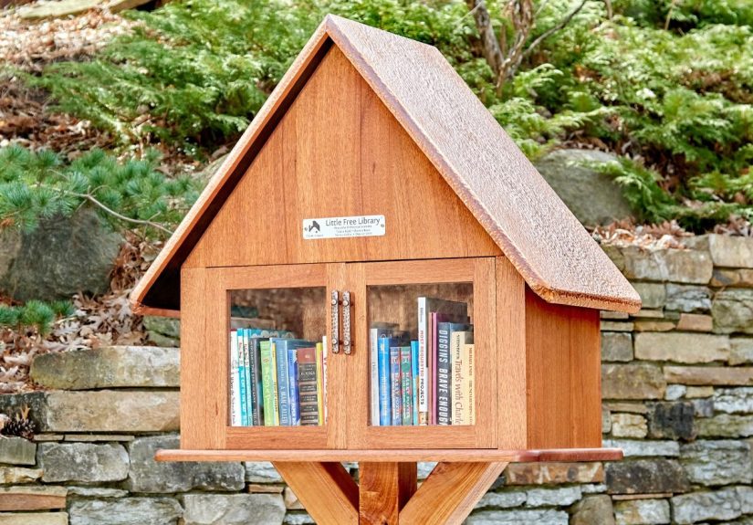 How to Build Your Own Little Free Library (DIY)