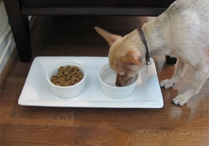 How To Make A DIY Food & Water Station For The Dog