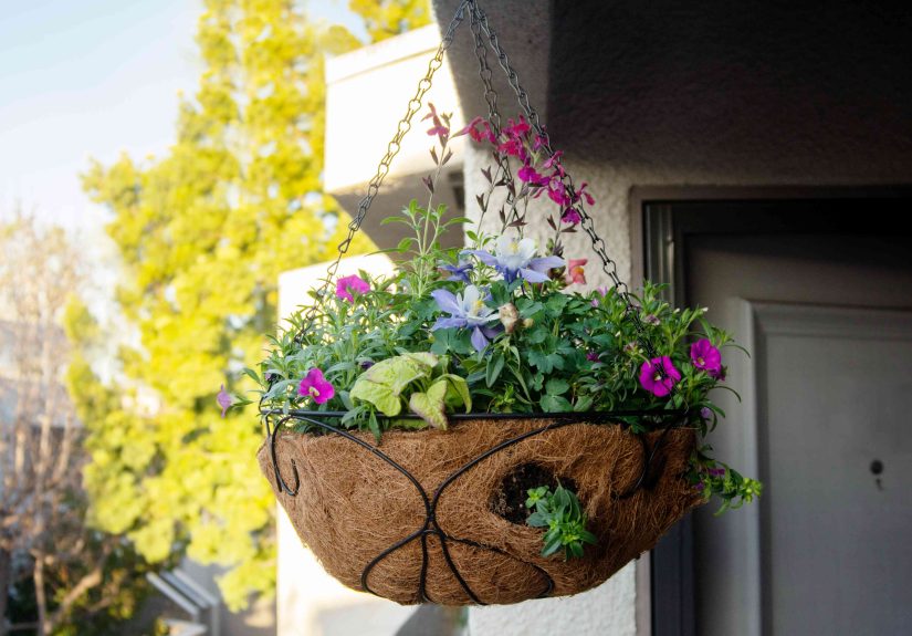 How to Plant a Hanging Flower Basket