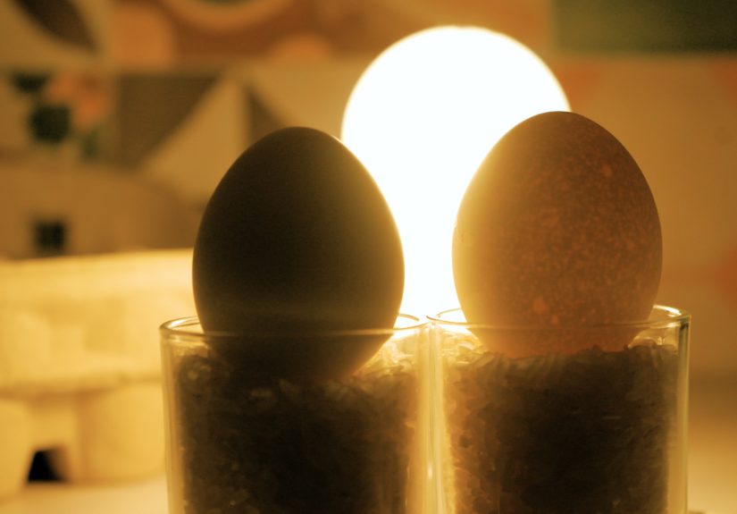 How to Tell When an Egg Is Boiled: 10 Steps