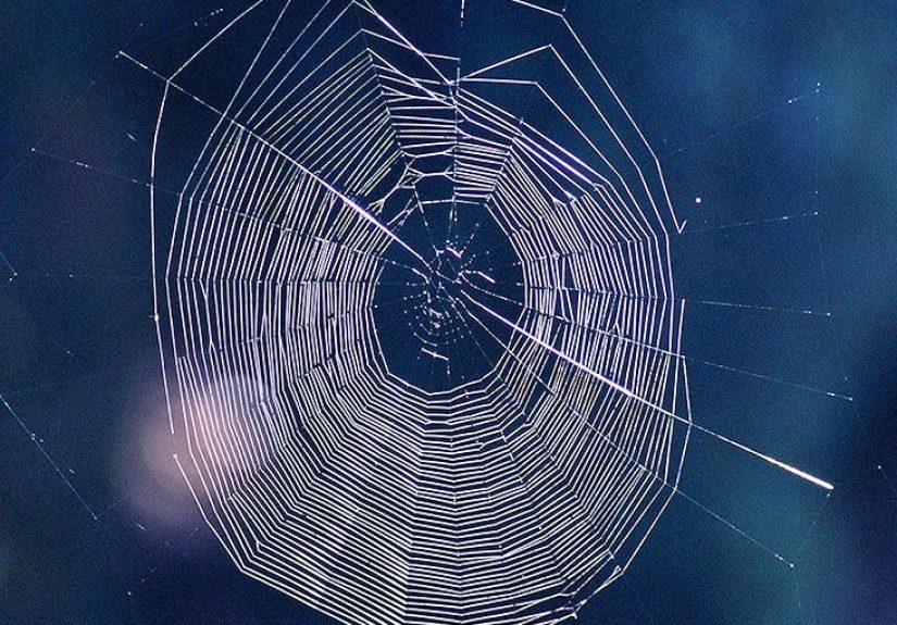 Insect bites: Reactions, types, and images