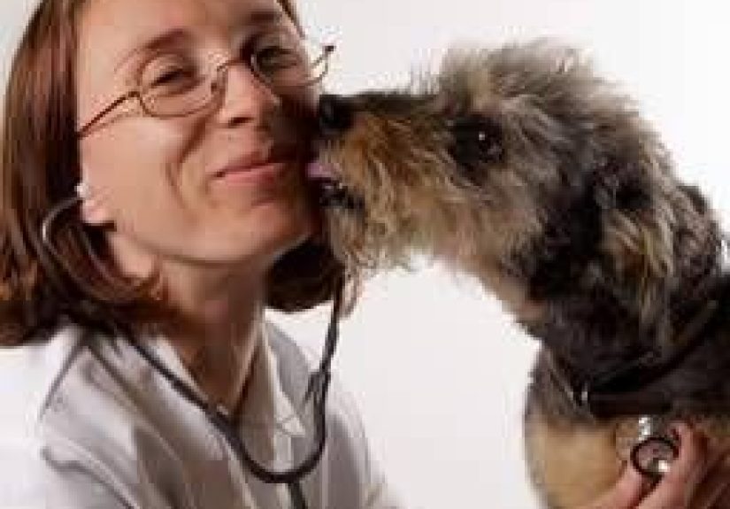 Pets May Reduce Risk Of Heart Disease