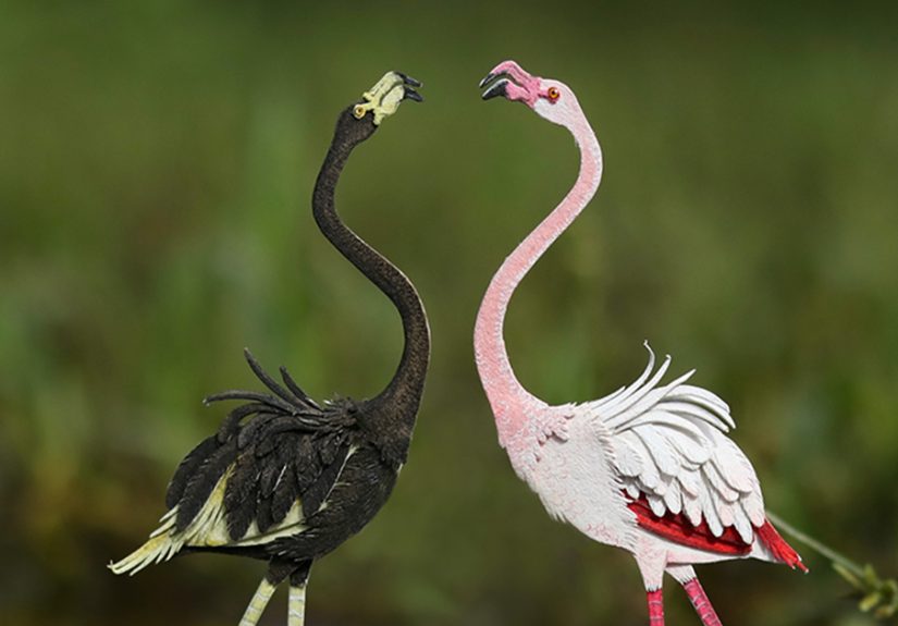 “Rare”: My Collection Of Paper Art To Show The Beauty Of Rare Genetic Mutation Of Albinism And Melanism (24 Pics)