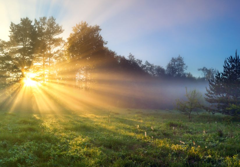Renewal Is What We Need During Residency Training