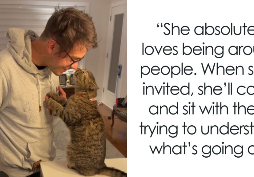 Returned Twice, But This Cat Refused To Give Up On Finding Love