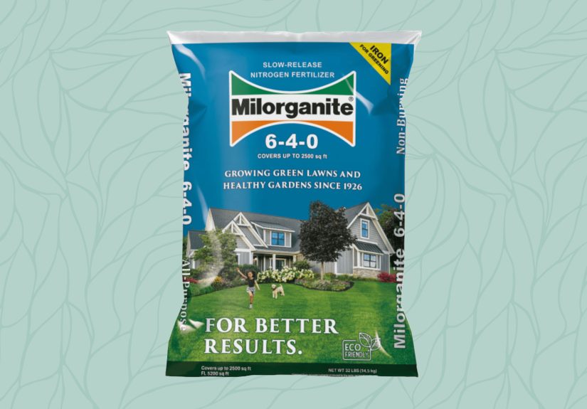 The 5 Best Organic Lawn Fertilizers Our Editors Recommend