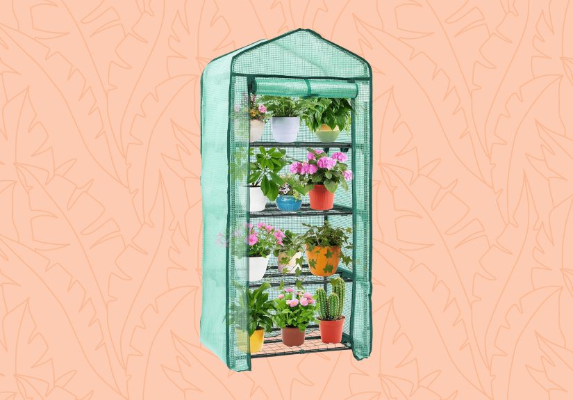 The 9 Best Small Greenhouse Kits Our Editors Recommend