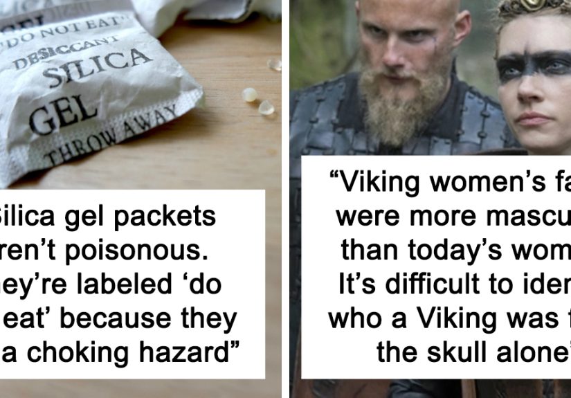 “Today I Learned”: 40 Interesting Things People Didn’t Learn At School