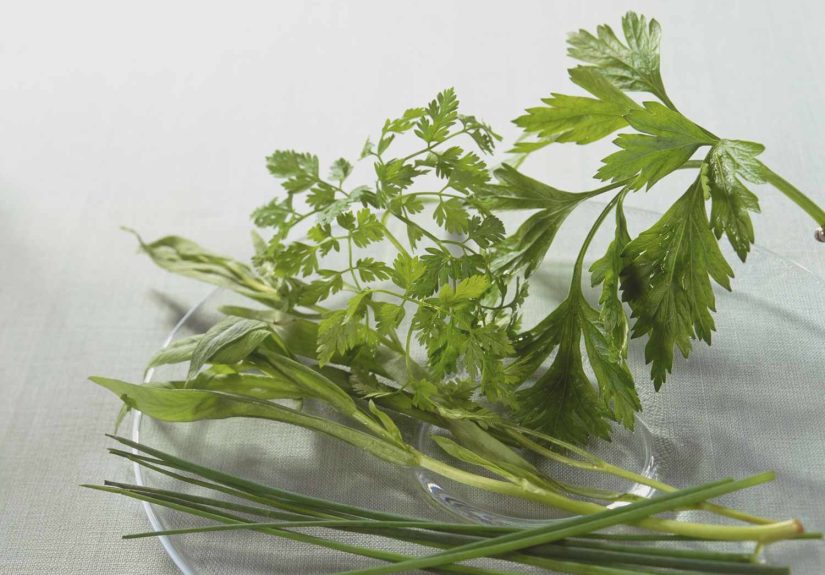 What Is Fines Herbes?