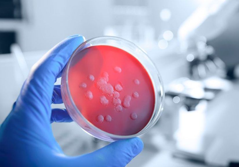 What is the difference between bacterial and viral infections?