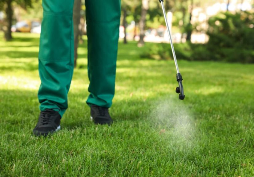 When To Apply Pre-Emergent Herbicide