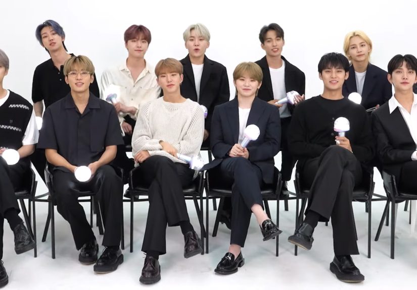 Which Seventeen Member Is Your Ideal Type?