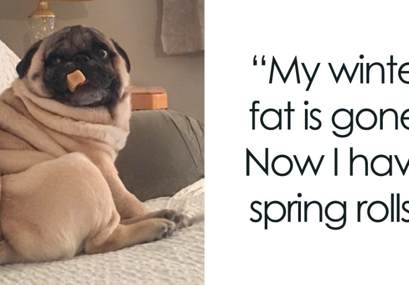 117 Spring Puns That Might Sprout Some Happiness
