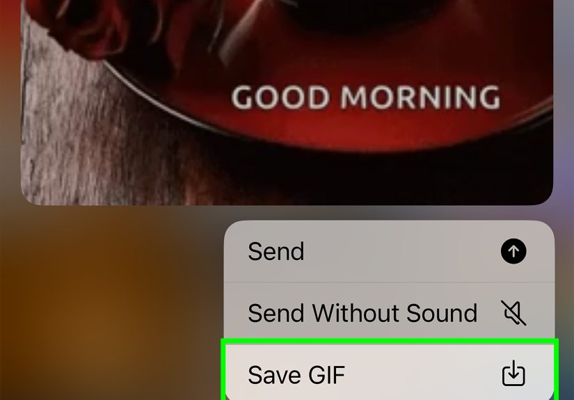 3 Simple Ways to Save Telegram GIFs on iPhone or iPad