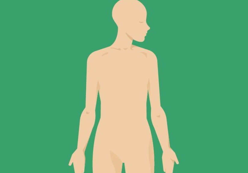 Bladder Anatomy, Function & Diagram