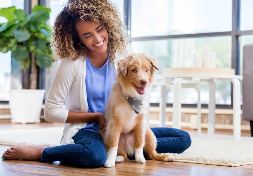Coronavirus and Pets: Causes, Symptoms, and Cure