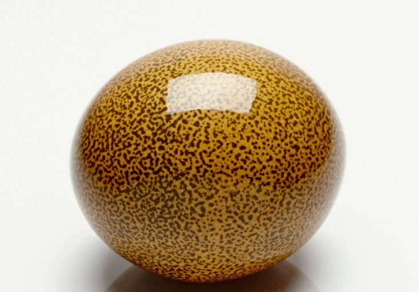 Creel and Gow Speckled Ostrich Egg - Orange