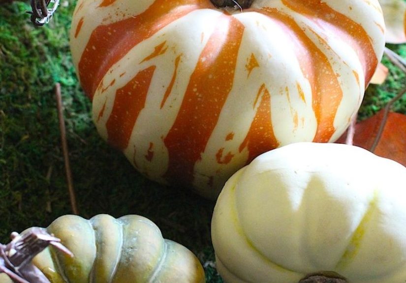 DIY Fall Terrarium