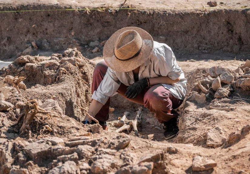 Edelman Fossil Park Uncovers Clues to Fifth Mass Extinction Event