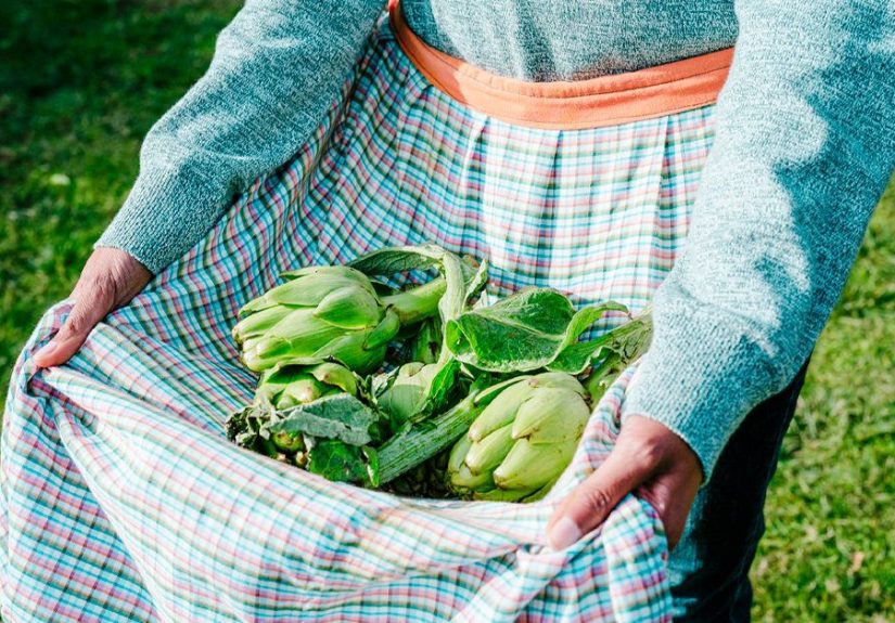 Health Benefits of Inulin