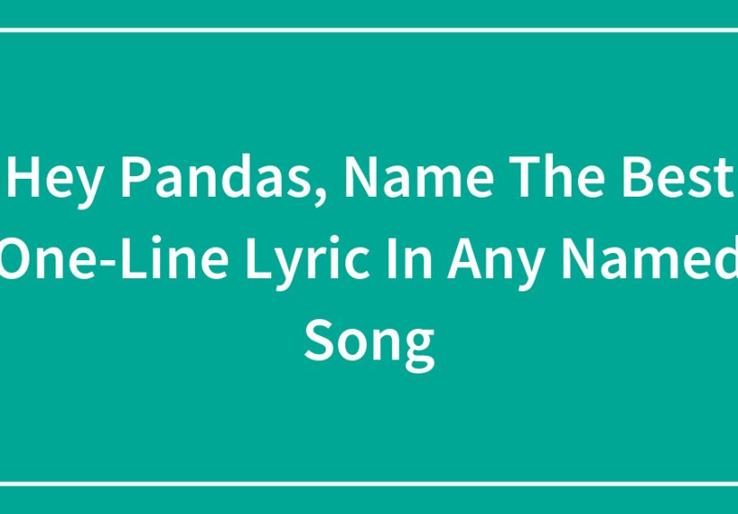 Hey Pandas, Name The Best One-Line Lyric In Any Named Song