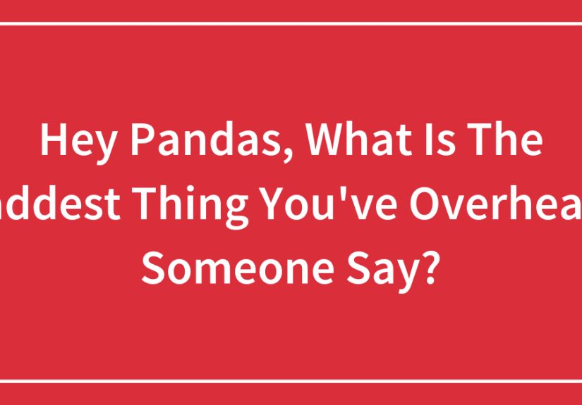 Hey Pandas, What Is The Saddest Thing You’ve Overheard Someone Say?