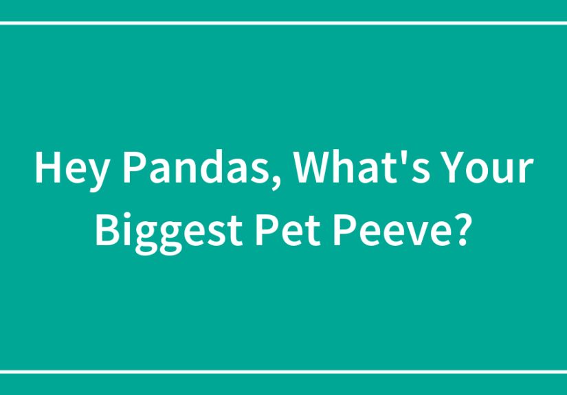 Hey Pandas, What's Your Biggest Pet Peeve?