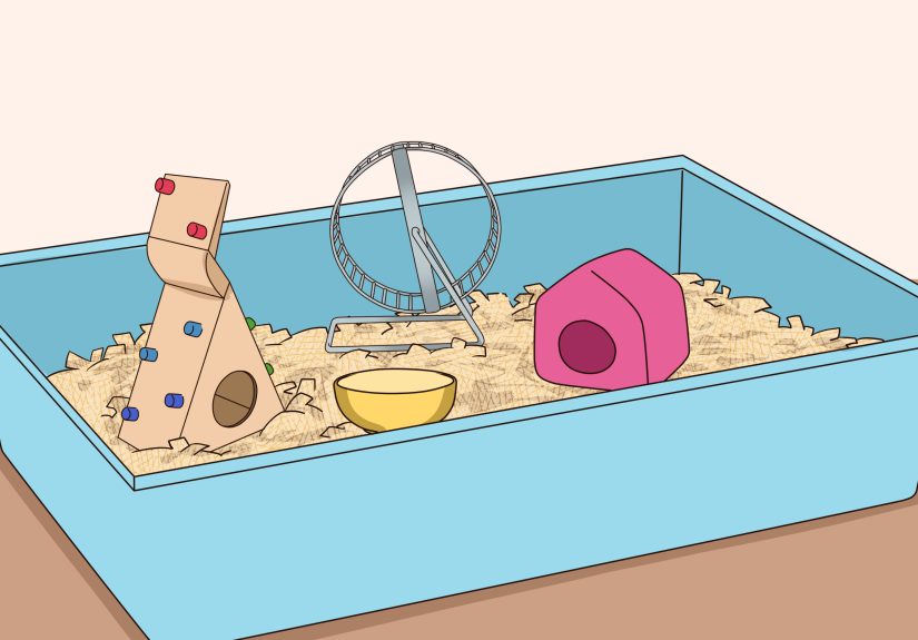 How to Clean a Smelly Mouse: 11 Steps