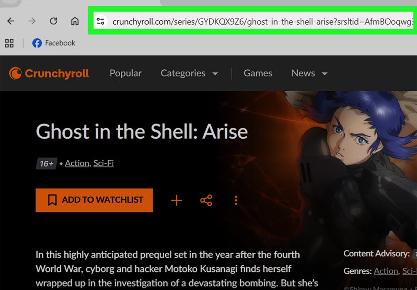 How to Watch Ghost in the Shell in Order: A Complete Guide
