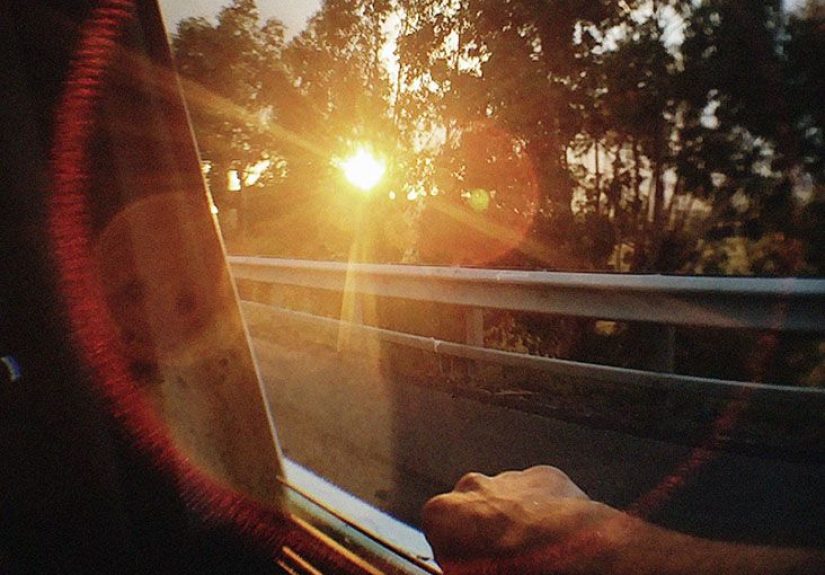 Improved immunity: Vitamin D3 versus D2