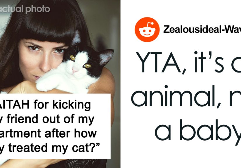 Person Is Shown The Door Immediately After Hurting Friend’s Cat, Doesn’t Get What The Big Deal Is