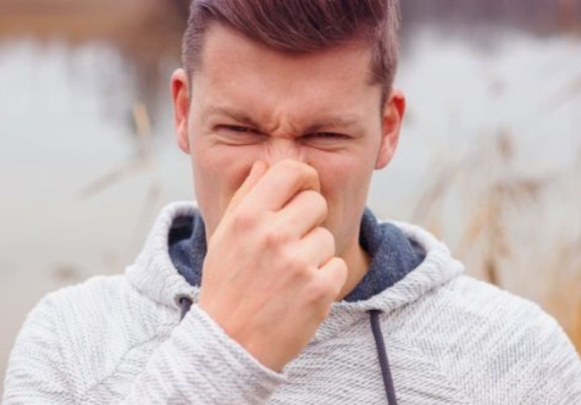 Top 10 Places With Surprising Poop Problems