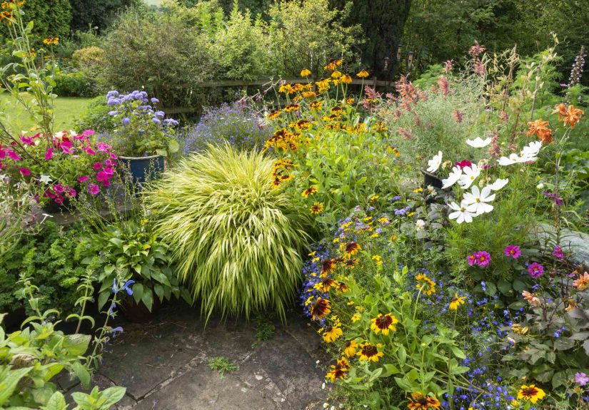 What Happens to Your Garden When There’s a Drought? What to Expect