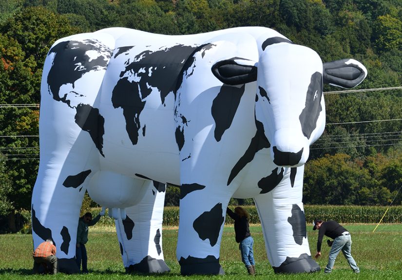 World Cow: Our 30 Pictures That Promote Positivity And Love All Around The World