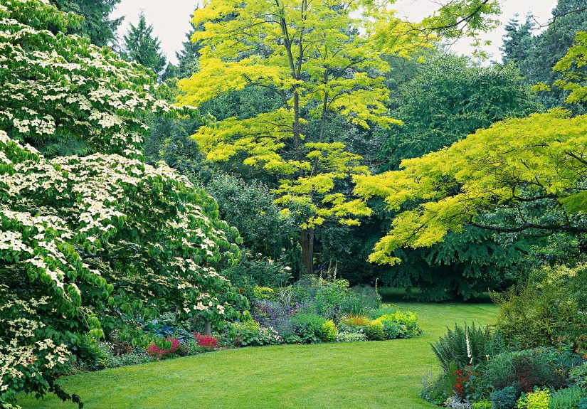Your Seasonal Lawn-Care Schedule for the Pacific Northwest