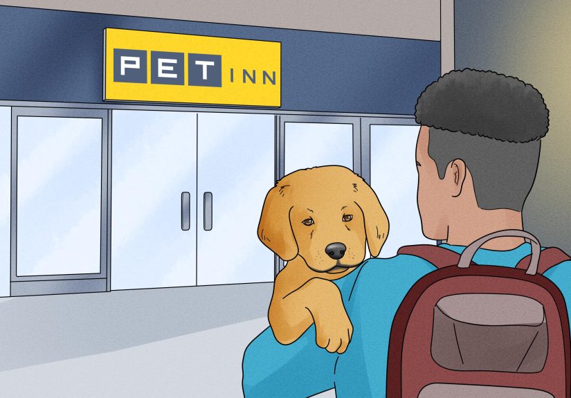 10 Simple Ways to Keep Pets Warm During a Power Outage