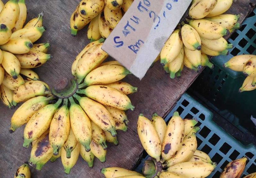 14 Unique Types of Bananas