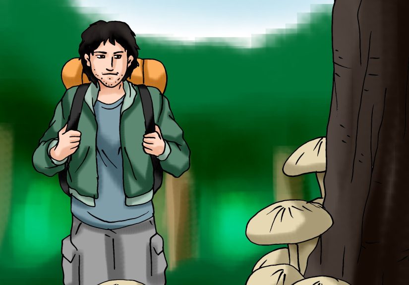 5 Ways to Survive Being Lost in the Forest