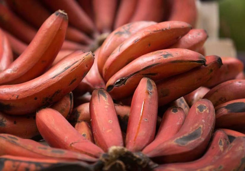 7 Red Banana Benefits (And How They Differ From Yellow Ones)