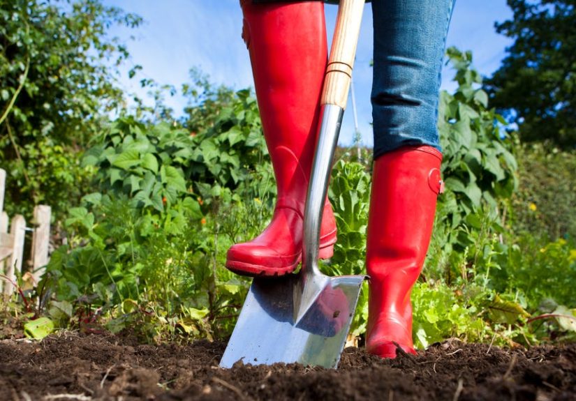 As an Avid Gardener, These Are the Only Gardening Shoes I'll Wear
